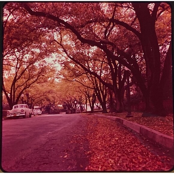 Vtg 1950's Neighborhood & Countryside 1956 Chevy Lot of 4 Ektachrome Slides 2.75 - Picture 1 of 8
